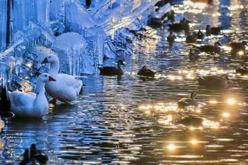 Busan: Kookmin Healing Park & Cheongsong Private Taxi Tour - What to Expect from the Tour