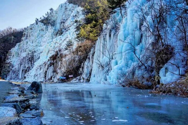 Busan: Kookmin Healing Park & Cheongsong Private Taxi Tour - In-Depth Look at the Itinerary