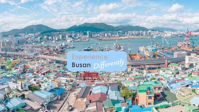 Busan Like a Local: Hangeul, K-Film Stories & Hidden Yeongdo - What makes this Yeongdo tour different
