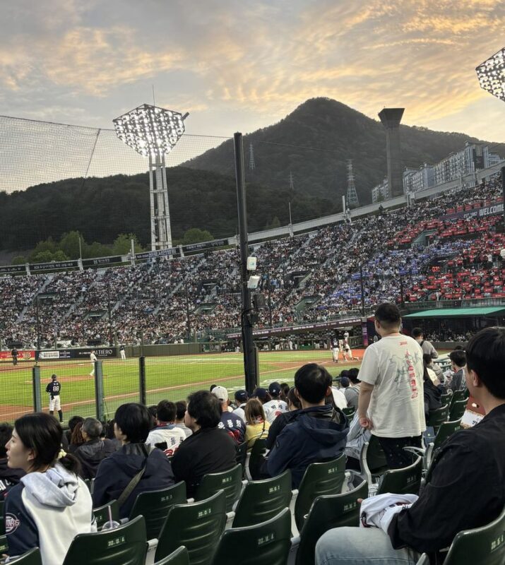 Busan: Lotte Giants Baseball Game Experience & Pre-Game Meal - Who should book this Busan baseball experience?