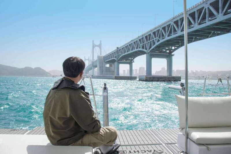 Busan: Max Out City Highlights Photo Spots Full Day Tour - Who Would Love This Tour?