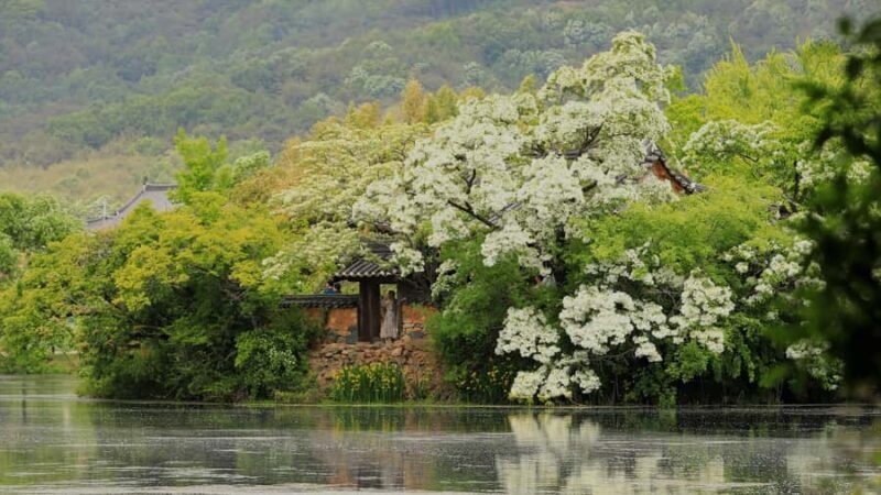 Busan: Miryang Day Tour with Apple Makgeolli Experience - Good To Know  