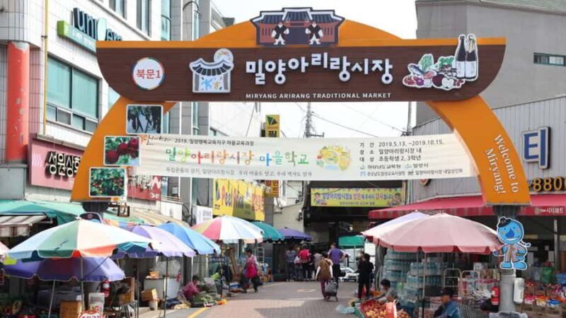 Busan: Miryang Day Tour with Apple Makgeolli Experience - An In-Depth Look at the Miryang Day Tour