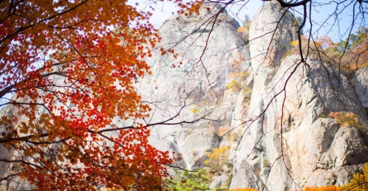 Busan: Mt. Jiri or Juwangsan National Park Fall Colors Tour - Key Points