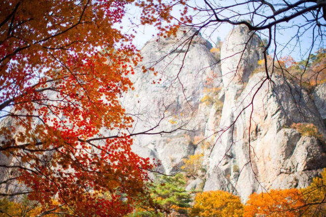 Busan: Mt. Jiri or Juwangsan National Park Fall Colors Tour - Tour Itinerary