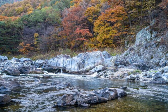 Busan: Mt. Jiri or Juwangsan National Park Fall Colors Tour - Inclusions and Meeting Points