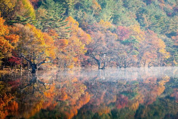 Busan: Mt. Jiri or Juwangsan National Park Fall Colors Tour - Scenic Photography Opportunities