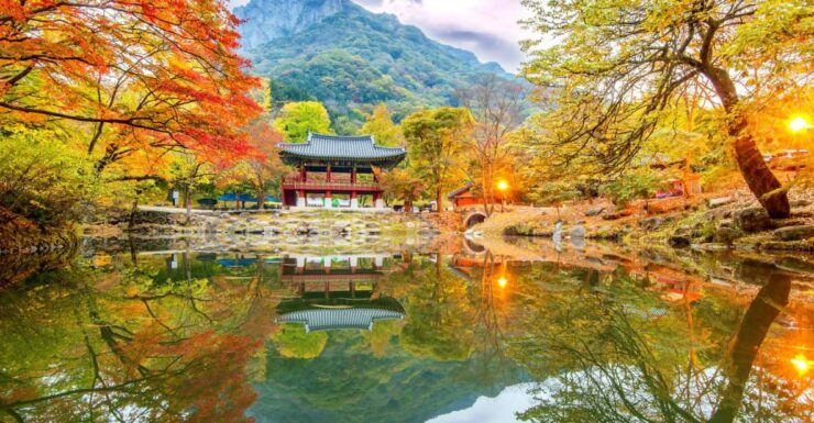 Busan: Naejangsan National Park Autumn Foliage One Day Tour - Itinerary Overview