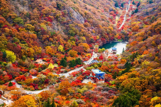 Busan: Naejangsan National Park Autumn Foliage One Day Tour - Scenic Highlights of Naejangsan