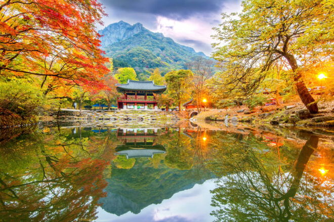 Busan: Naejangsan National Park Autumn Foliage One Day Tour - Meeting Points and Directions