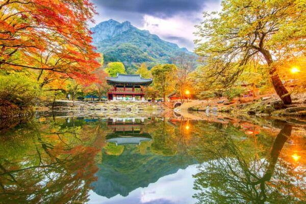Busan: Naejangsan National Park Autumn Foliage One Day Tour - Questions You May Have