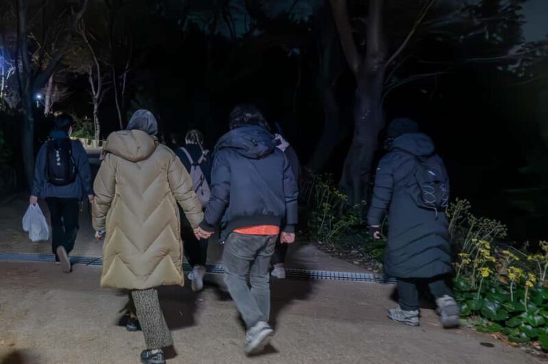 Busan: Night Hiking Tour with the Best Ocean View in Busan - The Sum Up  