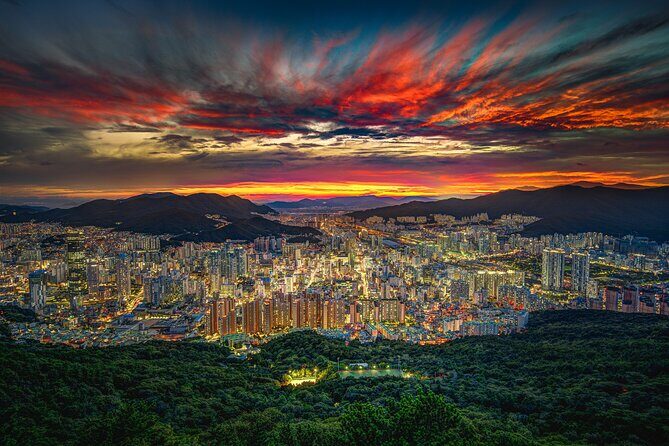 Busan Night One Day Tour Maximum 7 Pax - Practical Details & What to Expect