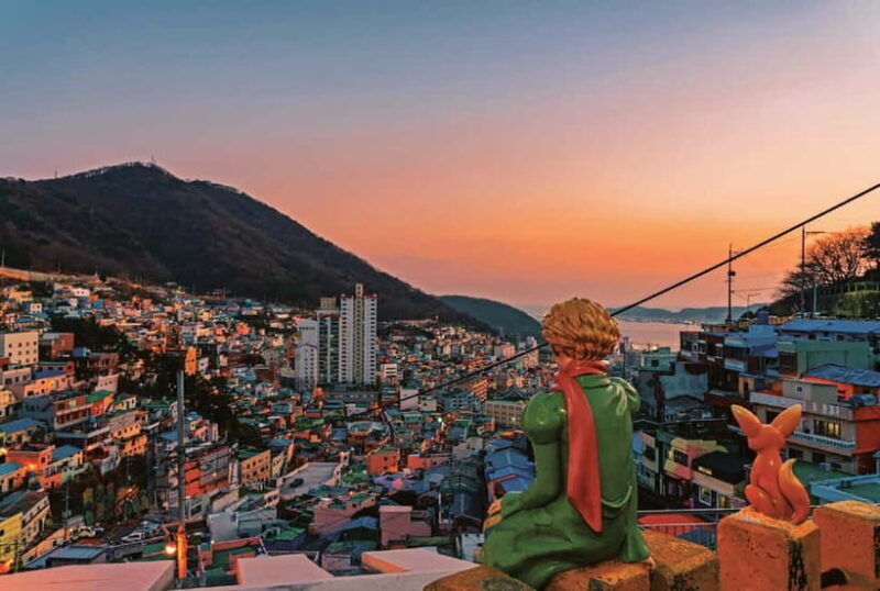 Busan Night Tour: Market, Skywalk & Optional SnapShot - Good To Know