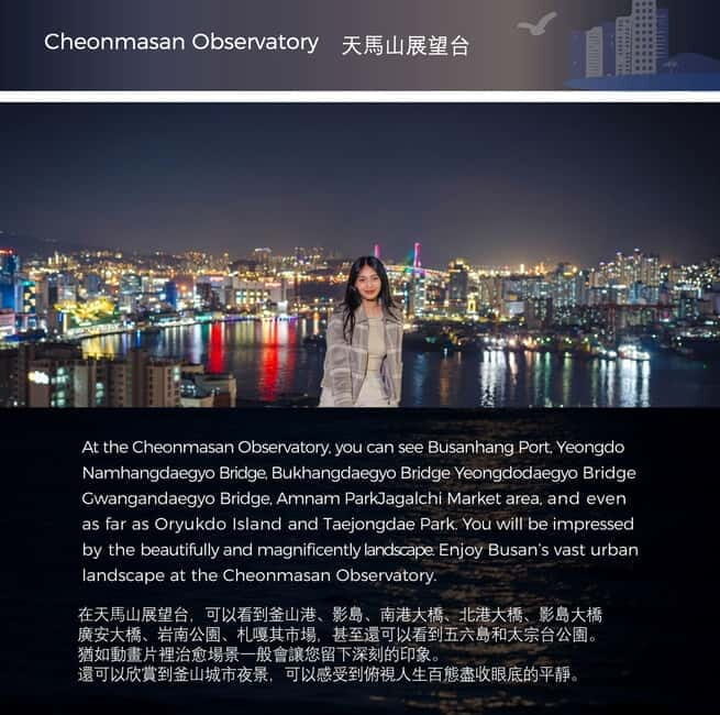 Busan Night Tour & Optional Snapshots - Good To Know