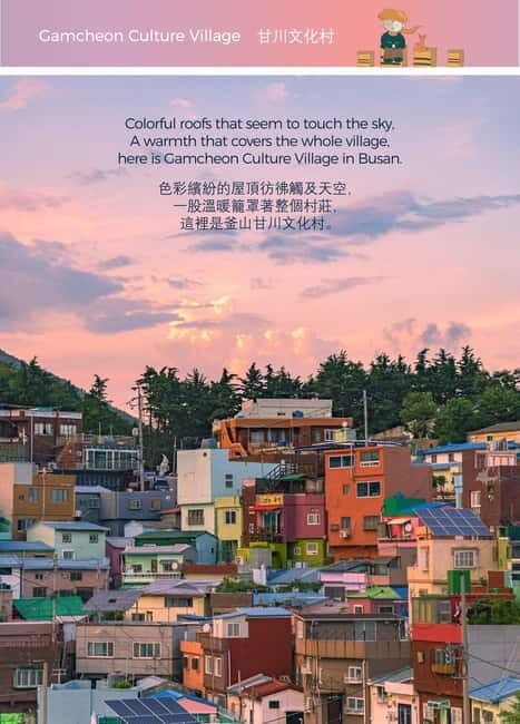 Busan Night Tour & Optional Snapshots - A Closer Look at the Itinerary & Experience