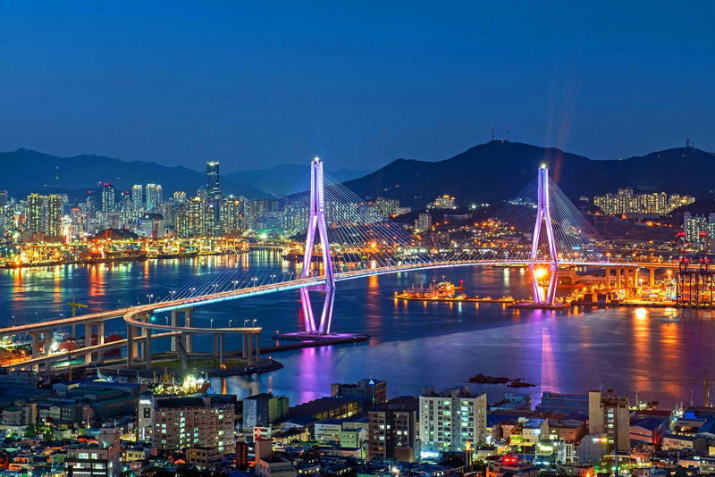 Busan Night View & Traditional Food Market Day Tour - What the Guide Adds