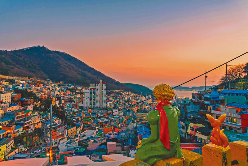 Busan Night View & Traditional Food Market Day Tour - Choosing the Food Package