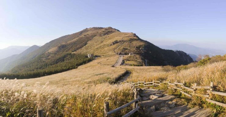 Busan: One Day Tour to Busan & Ganwoljae(Silver Grass Field) - Itinerary Highlights