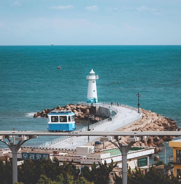 Busan: One Day Tour to Busan & Ganwoljae(Silver Grass Field) - Key Attractions