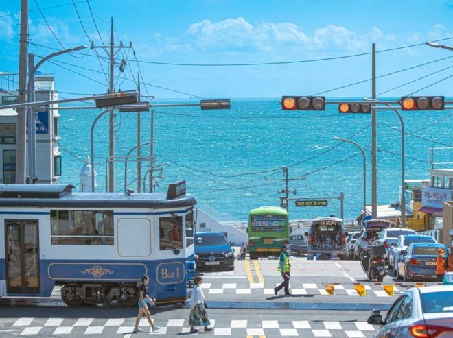 Busan: One Day Tour to Busan & Ganwoljae(Silver Grass Field) - Transportation Details
