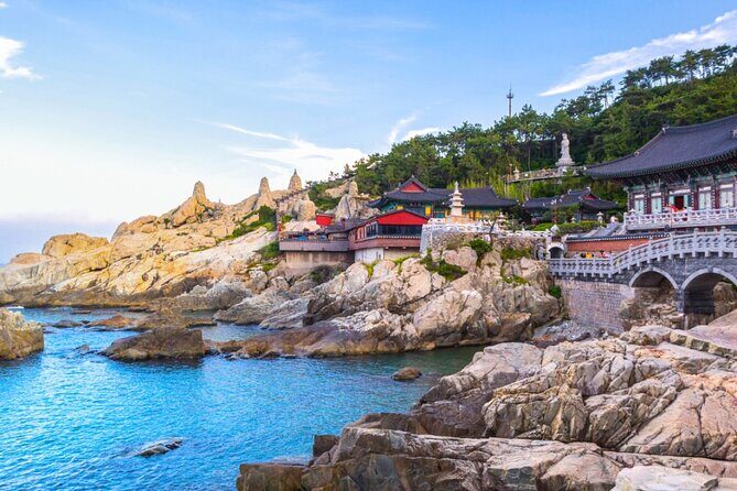 Busan Private Bike Tour - Who Should Consider This Tour?