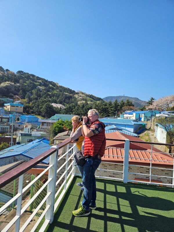 Busan Private City Highlights Tour for Cruise Passengers - Haedong Yonggung Temple by the sea