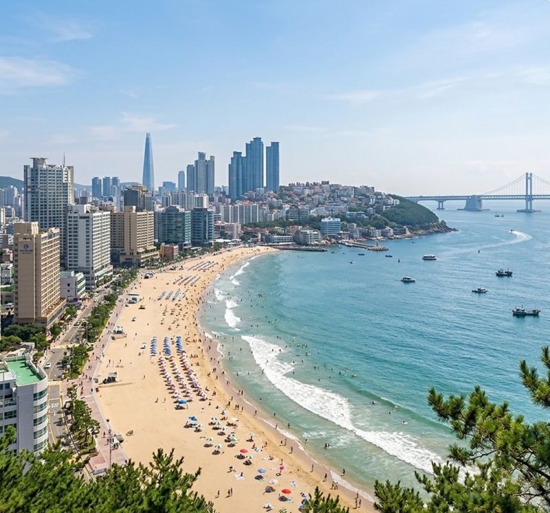 Busan Private City Highlights Tour for Cruise Passengers - Gamcheon’s alleys and hillside views