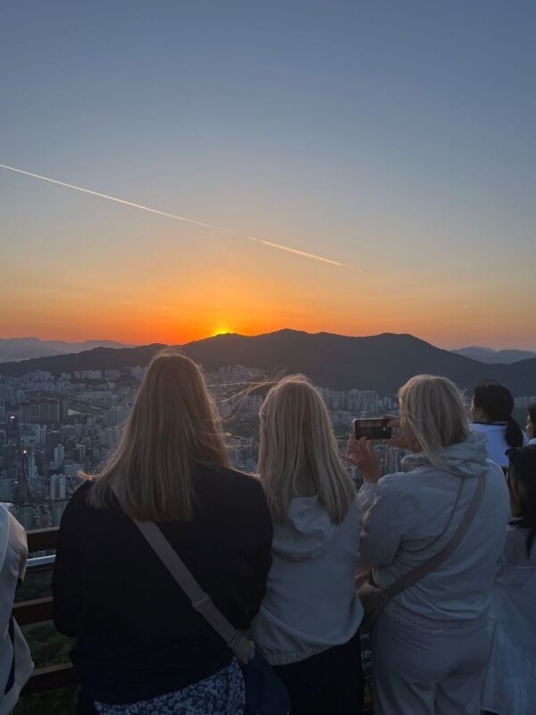 Busan Private City Highlights Tour for Cruise Passengers - Who should book this tour