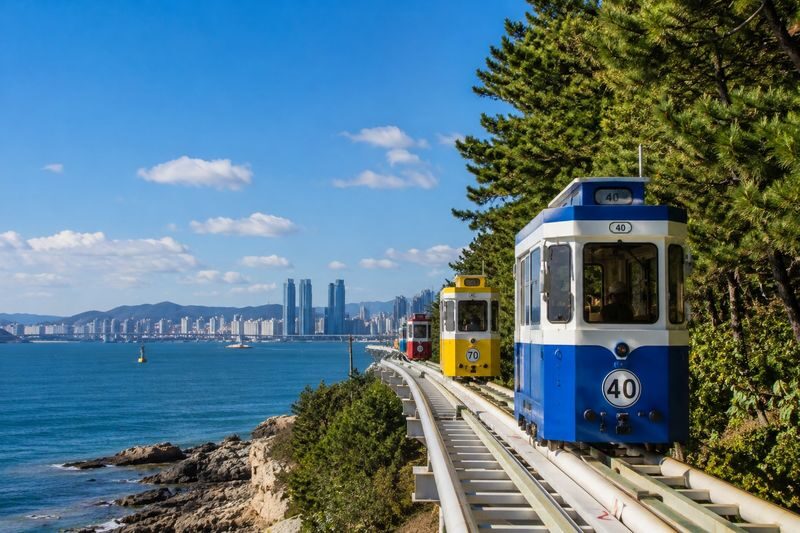 Busan Private City Highlights Tour for Cruise Passengers - My booking advice