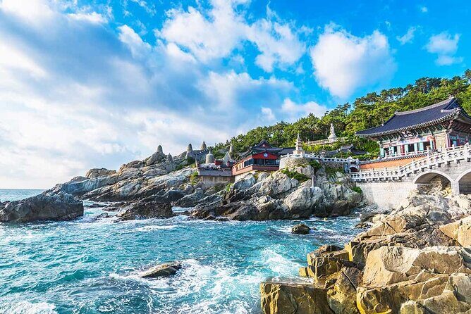 Busan Private Customizable City Tour with Licensed Local Guide - Introduction: Your Personal Busan Adventure