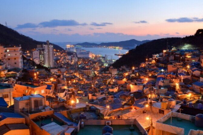 Busan Private Customizable City Tour with Licensed Local Guide - The Sum Up: Who Will Benefit Most?