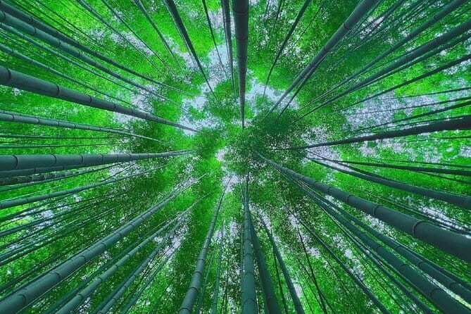 Busan Private Guide Tour : Enjoy customized tour only for you! - Cost-Effectiveness and Experience Quality