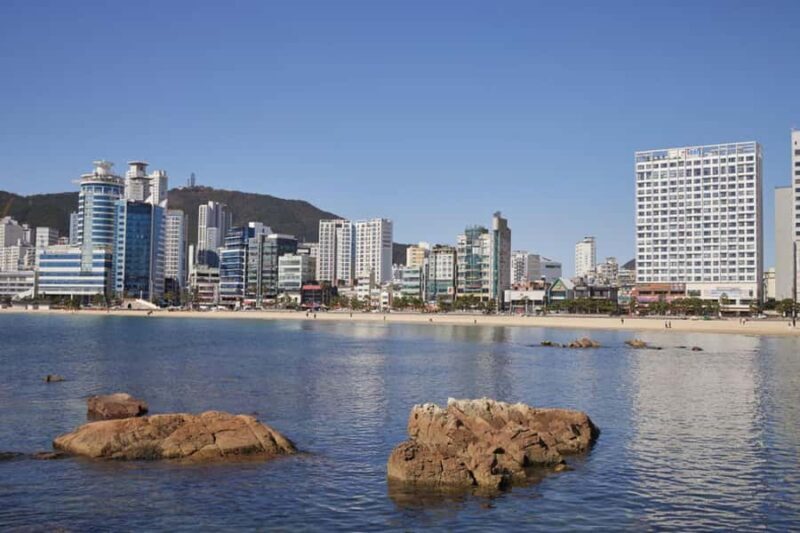 Busan: Private Taxi Tour - Port Cruise Shore Excursion - Good To Know