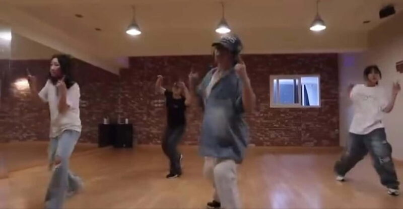 Busan private tour : K-pop dance class + tour - Who Should Consider This Tour?