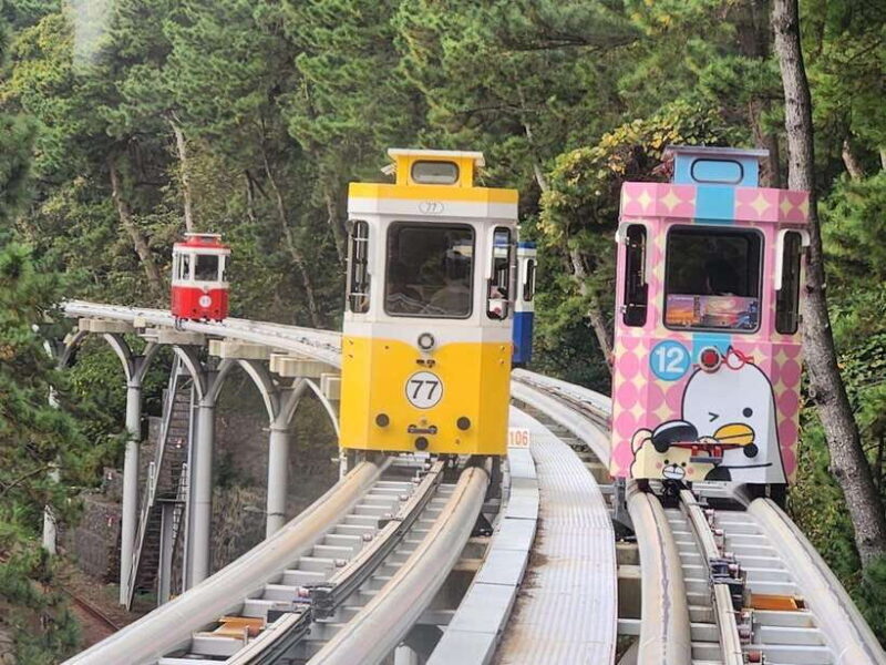 Busan private tour with an official tour guide - Good To Know