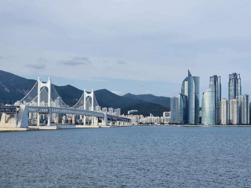 Busan private tour with an official tour guide - Practical Details and Tips