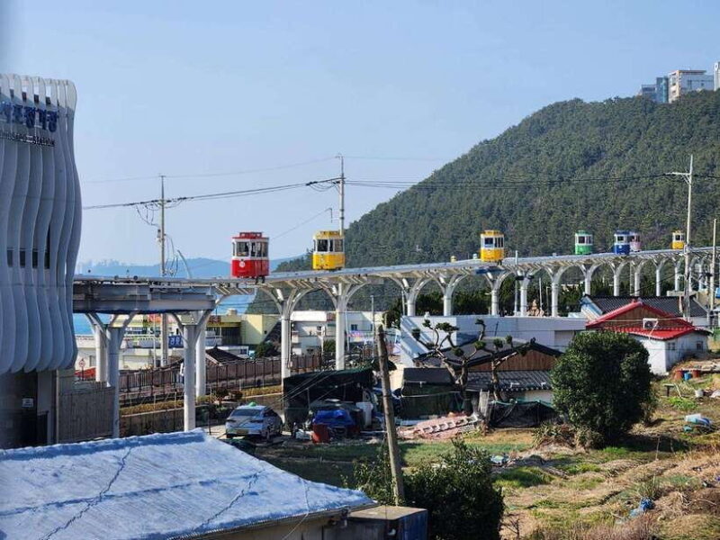 Busan private tour with an official tour guide - Good To Know