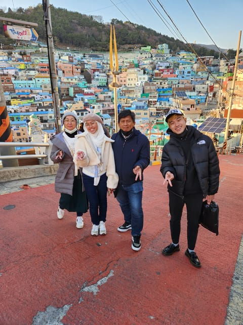 Busan: Rent a Car With Driver (Private Van Charter) - Driver and Vehicle Details