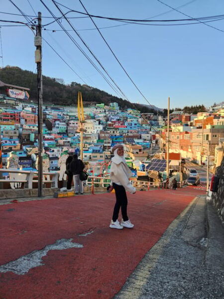 Busan: Rent a Car With Driver (Private Van Charter) - Travel Tips for Visitors