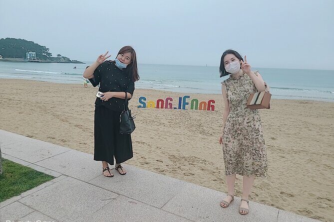 Busan shared tour up to 12 guests - Who is This Tour Perfect For?