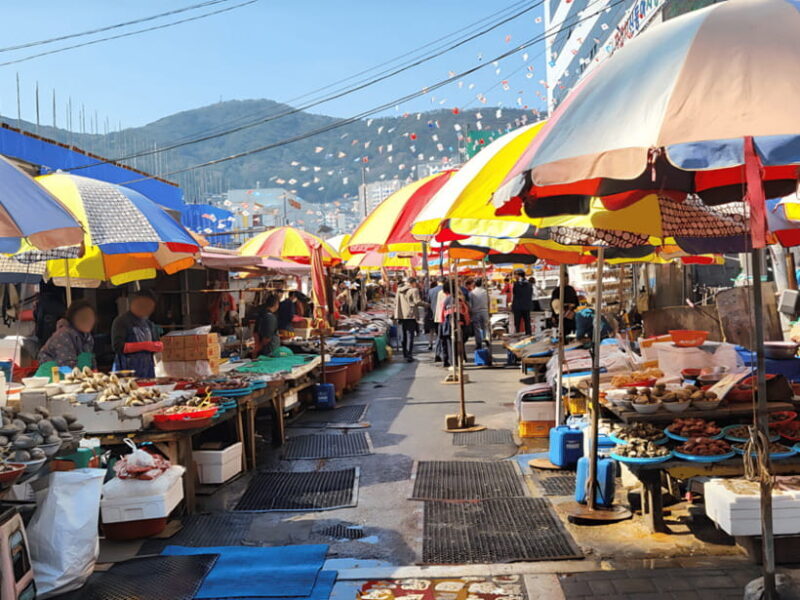 Busan: Sightseeing Tour for Cruise Passengers - An Introduction to the Busan Cruise Passenger Tour  