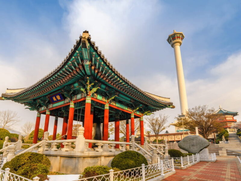 Busan: Sightseeing Tour for Cruise Passengers - Why This Tour Offers Great Value for Money  