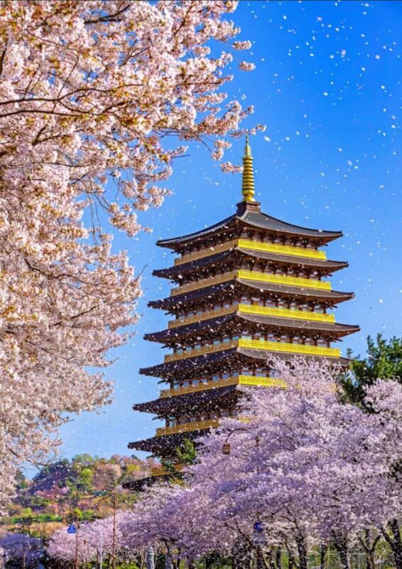 Busan: Sky Capsule or Gyeongju Cherry Blossom Spring Tour - What to Expect on the Tour