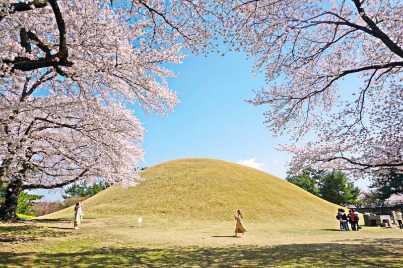 Busan: Sky Capsule or Gyeongju Cherry Blossom Spring Tour - The Sum Up