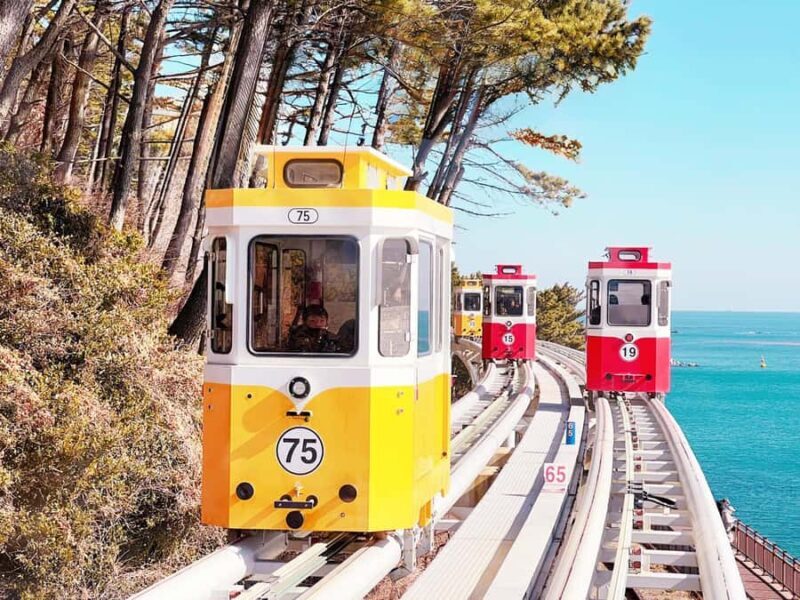 Busan: Sky Capsule or Gyeongju Cherry Blossom Spring Tour - Cherry Blossom and Spring Flower Spots in Busan and Gyeongju