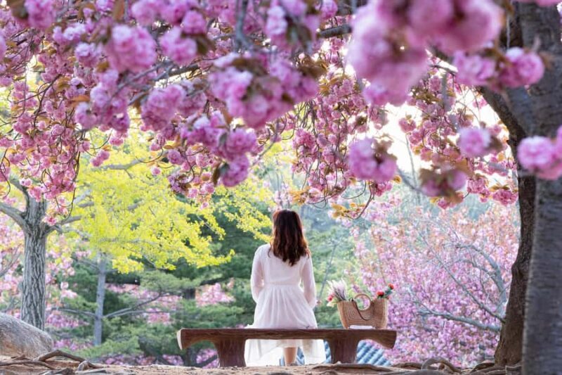 Busan: Sky Capsule or Gyeongju Cherry Blossom Spring Tour - Value and Overall Impression