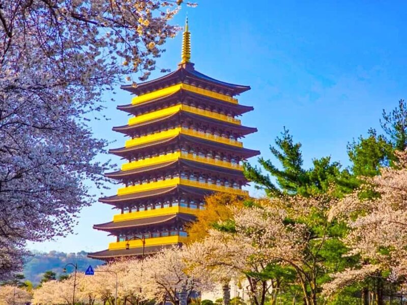 Busan: Spring Cherry Blossom & Gyeongju Highlights Day Tour - Weather and Flexibility