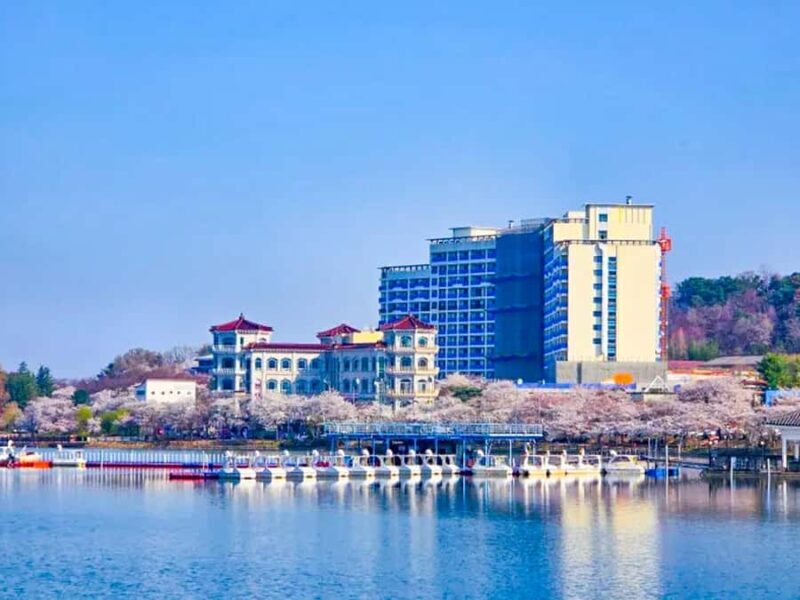 Busan: Spring Cherry Blossom & Gyeongju Highlights Day Tour - Who Is This Tour Best For?