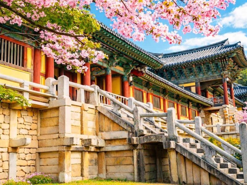 Busan: Spring Cherry Blossom & Gyeongju Highlights Day Tour - Final Thoughts